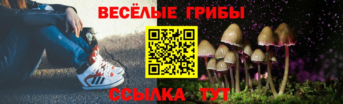 Галлюциногенные грибы Magic Shrooms  Галлюциногенные грибы MAGIC MUSHROOMS  где можно купить   Вход с VPN  Владивосток 